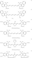 Figure US06316179-20011113-C00002