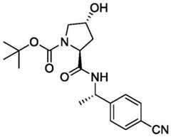 Figure BDA0004113777320001463