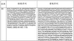 Figure GDA0002852390480000441