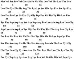 Figure BDA0001145126730001052