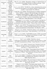 Figure PCTCN2022090268-appb-000094