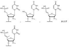 Figure 2022062038000017