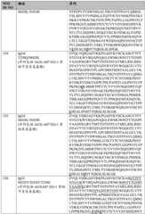 Figure BDA0003324235030001561