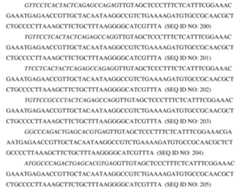 Figure imgf000220_0001