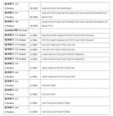 Figure 0007483732000063