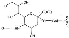 Figure imgf000112_0001