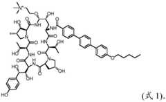 Figure BDA0002381572190000111