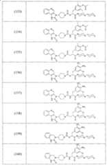 Figure A2006800095860030C1