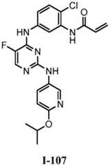 Figure BDA0001453135130001742