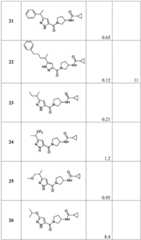 Figure BDA0001316473010001681