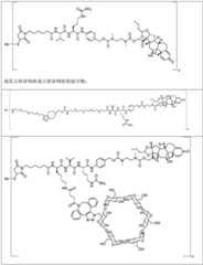 Figure FDA0002889616210000371