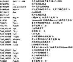 Figure BDA0000057170160002161