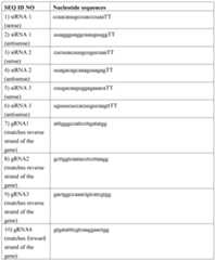 Figure imgf000044_0001