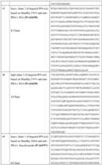 Figure imgf000150_0001