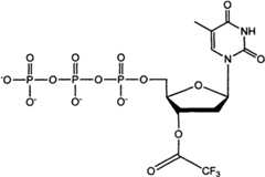 Figure BSA00000873704900051
