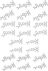 Figure GPA0000263212130000581