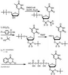 Figure BDA0003670511740004521