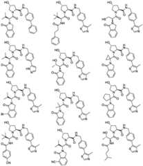 Figure BDA0003027048450001561