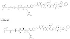 Figure imgf000134_0001