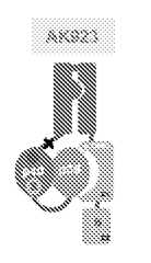 Figure imgf000185_0002