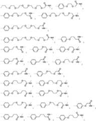 Figure BDA0003027048450002331