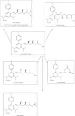 Figure US08455640-20130604-C00102