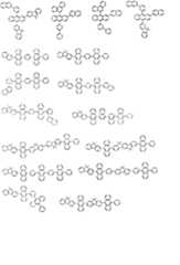 Figure A20081018956900511