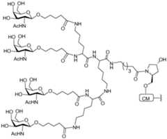 Figure imgf000256_0001