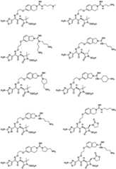 Figure FDA0003806534530000131