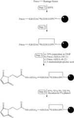 Figure US06706892-20040316-C00082