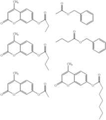 Figure US06168919-20010102-C00019