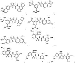 Figure BDA0002935257550003161