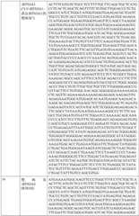 Figure BDA0002317806370000751