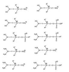 Figure 2022028855000008