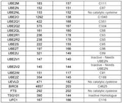 Figure imgf000090_0001