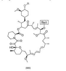 Figure imgf000039_0001
