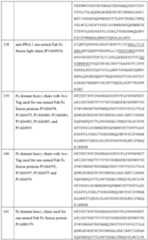 Figure imgf000174_0001