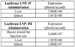 Figure imgf000987_0002