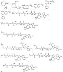 Figure imgf000231_0001