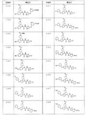 Figure JPOXMLDOC01-appb-T000013