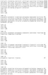 Figure IDA00002091897100391