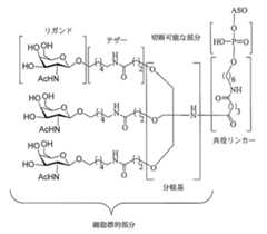 Figure 2023012548000010