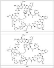 Figure imgf000124_0001