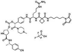 Figure BDA0004113777320001492