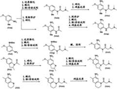 Figure GPA00001084614800641