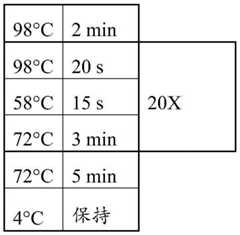 Figure GDA0003298213970001212