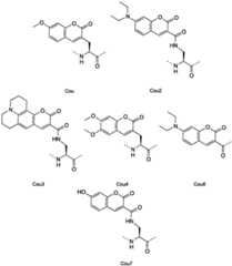 Figure BDA0002963300720001141