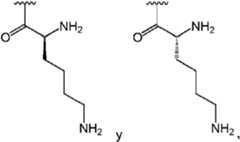 Figure imgf000103_0003