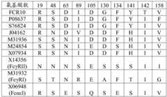 Figure BDA0002951888040000261