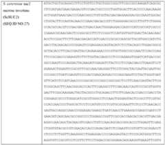 Figure imgf000095_0001